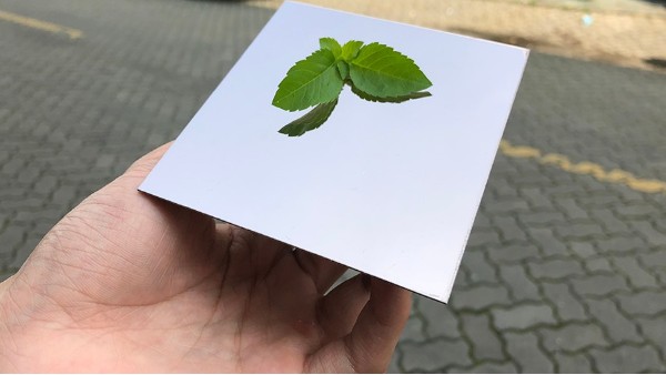 為什么彩色不銹鋼裝飾板會大受歡迎？